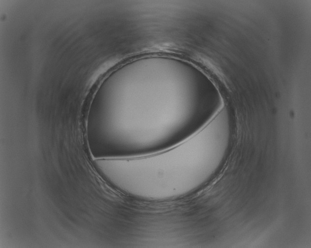 X0000071791308200606300932