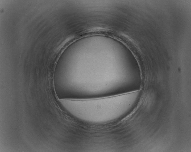 X0000071791313200606300932