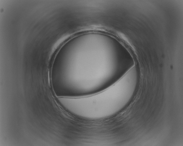 X0000071791320200606300932