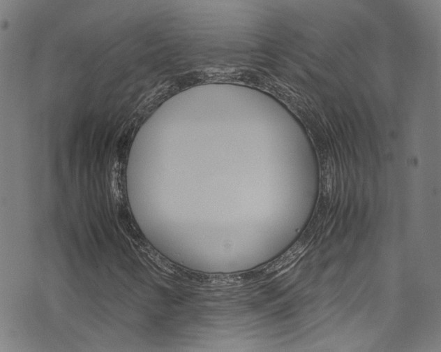 X0000071791346200606300932