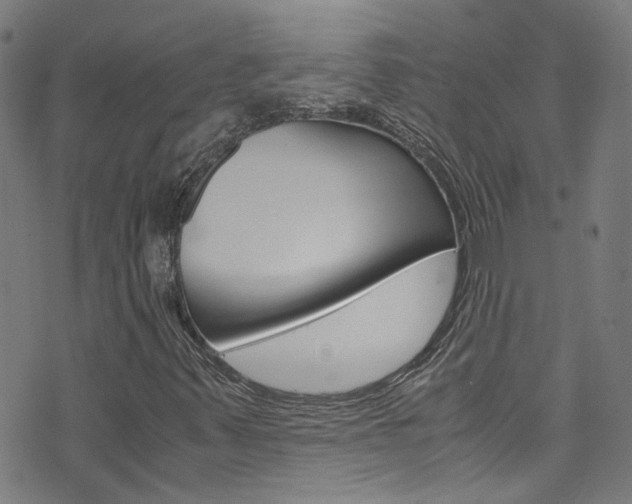 X0000071791347200606300932