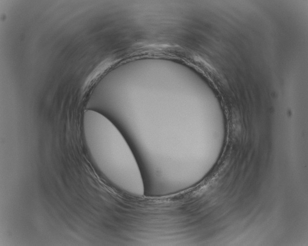 X0000071791354200606300931