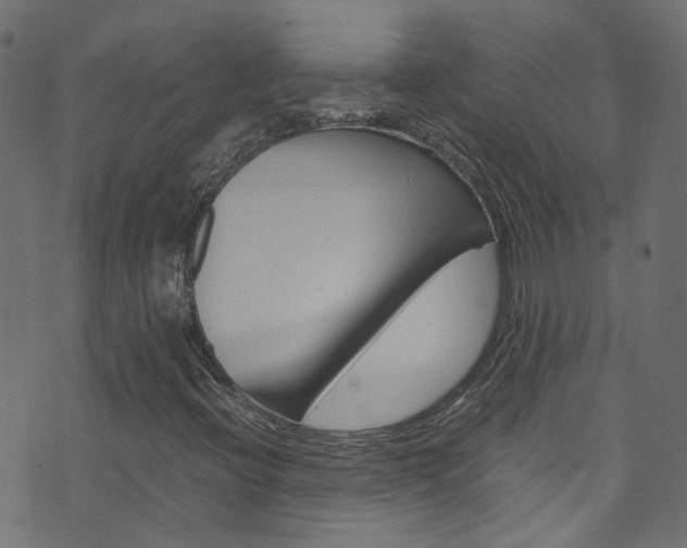 X0000071791396200606300930