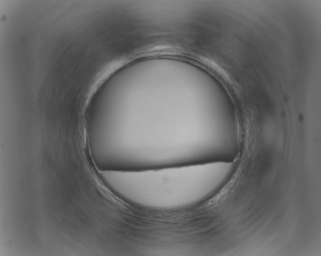 X0000071791413200606300930