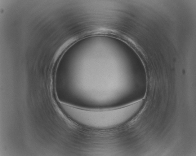 X0000071791418200606300930