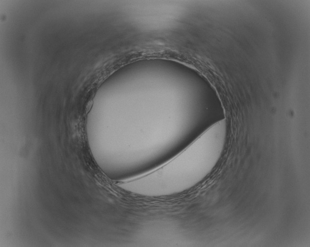 X0000071791445200606300930