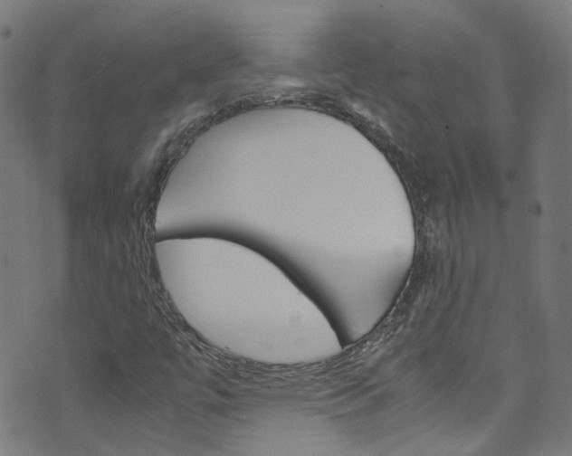 X0000071791447200606300930