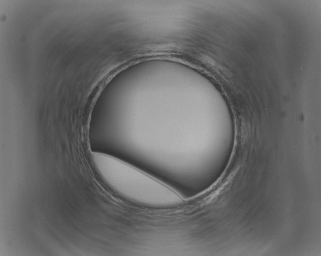 X0000071791449200606300930