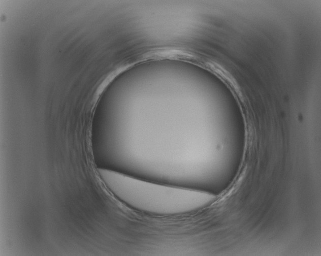 X0000071791481200606300929