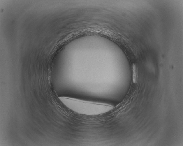 X0000071791491200606300929