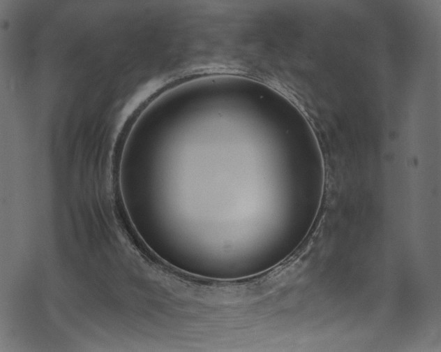 X0000071790008200606301256