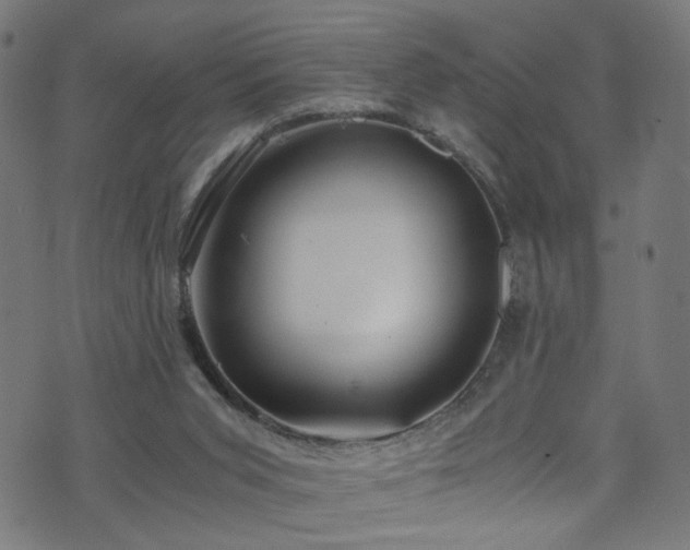 X0000071790015200606301256