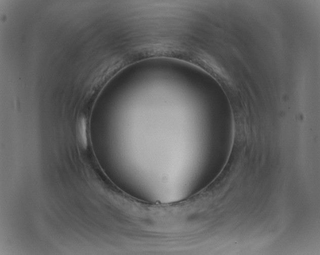 X0000071790022200606301256