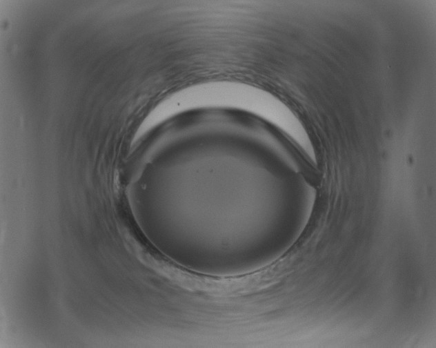 X0000071790039200606301256