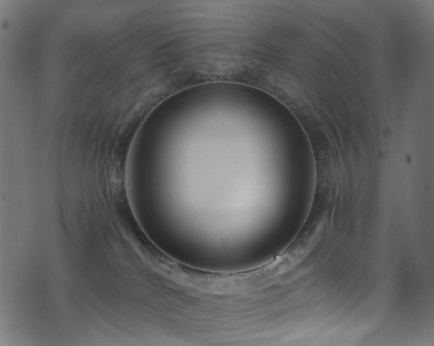 X0000071790040200606301256