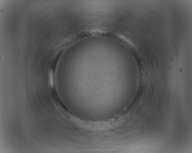 X0000071790042200606301256