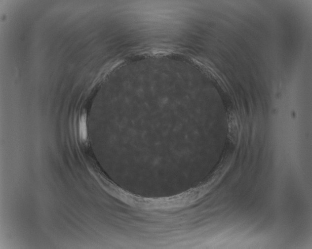 X0000071790046200606301256