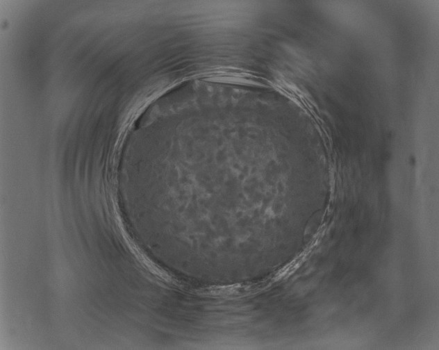 X0000071790049200606301255