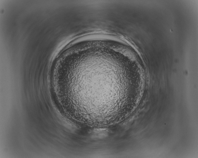 X0000071790055200606301255
