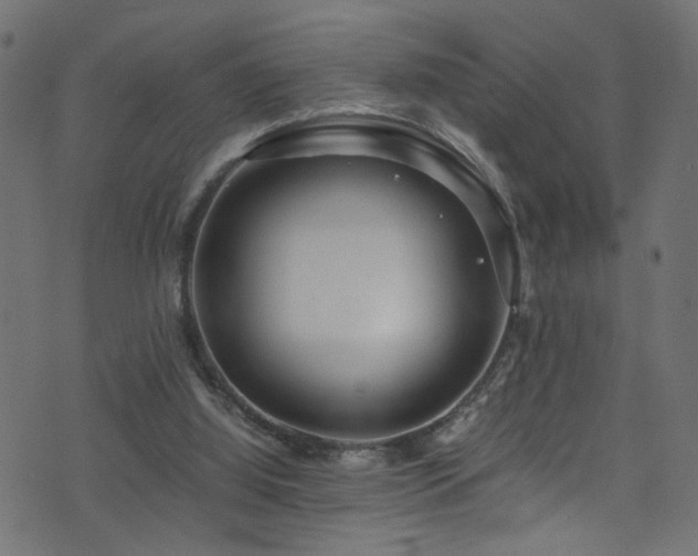 X0000071790060200606301255