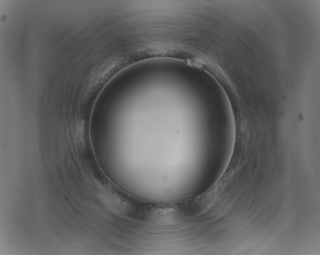 X0000071790066200606301255