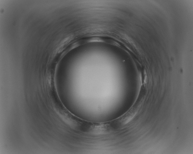 X0000071790072200606301255