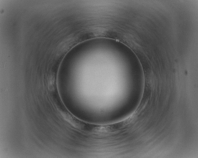 X0000071790082200606301255