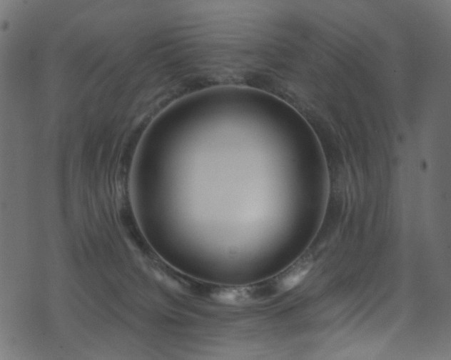 X0000071790084200606301255