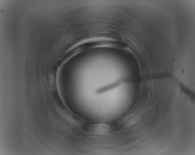 X0000071790087200606301256