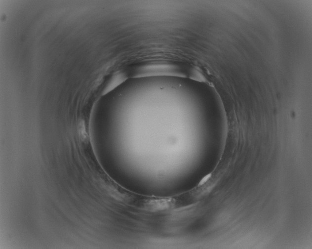X0000071790089200606301256