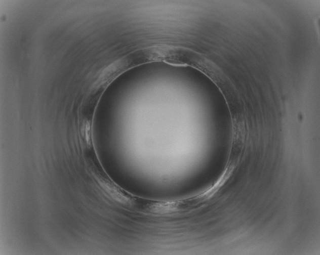 X0000071790094200606301256