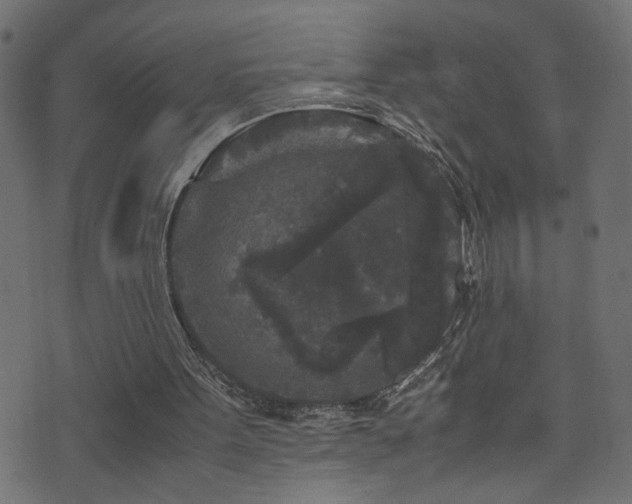 X0000071790099200606301255