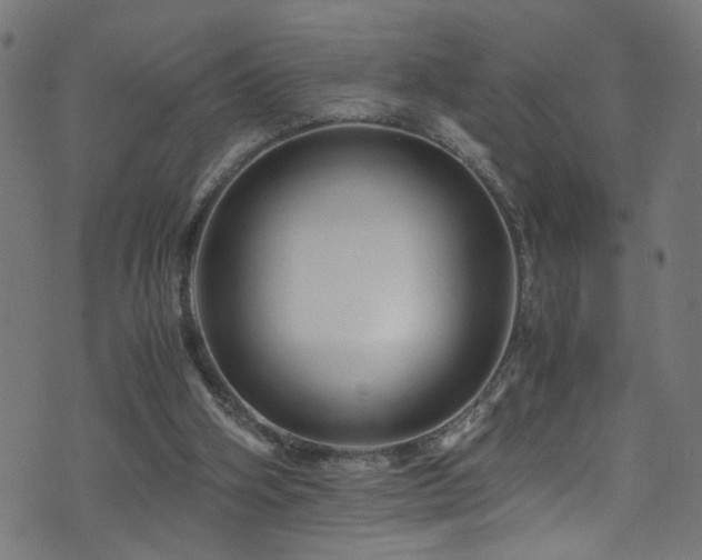 X0000071790106200606301255