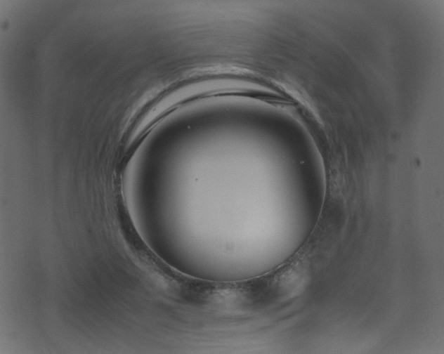 X0000071790111200606301255