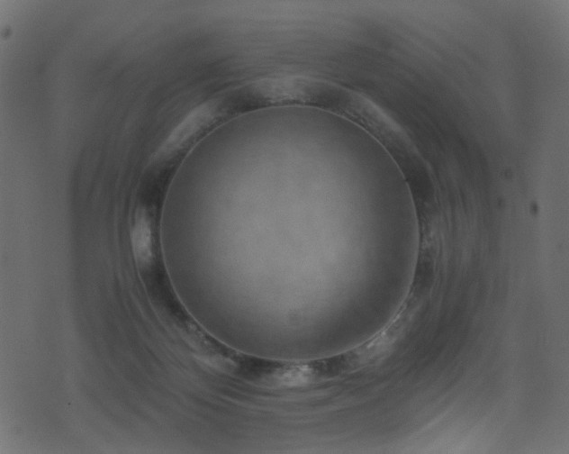 X0000071790124200606301254