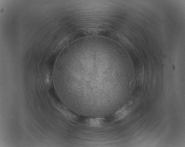 X0000071790134200606301254