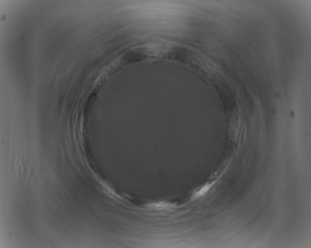 X0000071790137200606301254