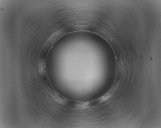 X0000071790138200606301254
