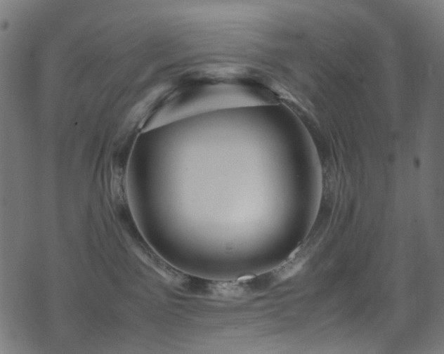 X0000071790141200606301254
