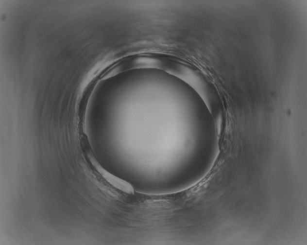 X0000071790150200606301253