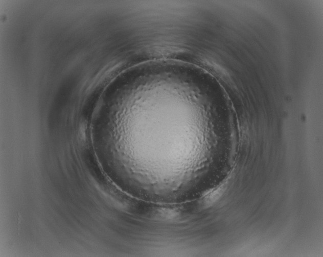 X0000071790166200606301254