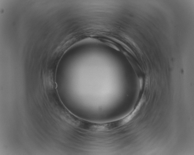 X0000071790170200606301254