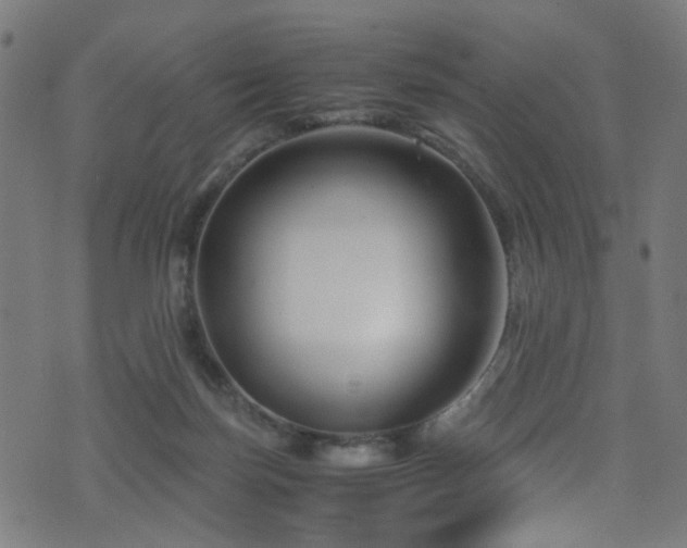 X0000071790171200606301254