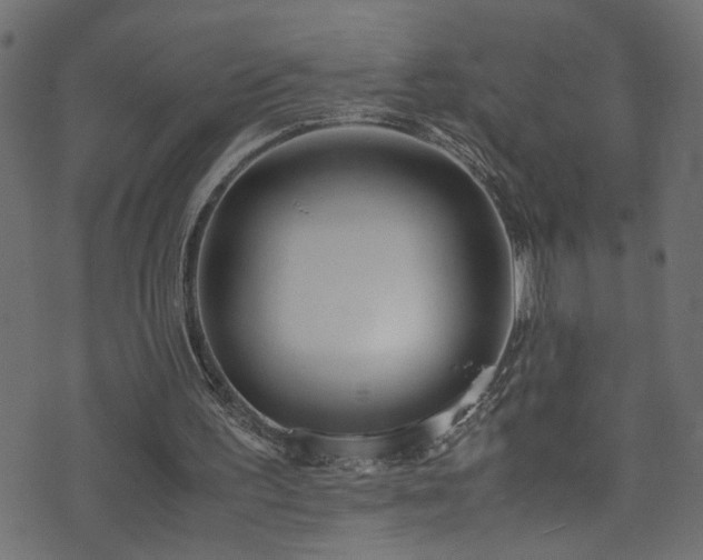 X0000071790195200606301253