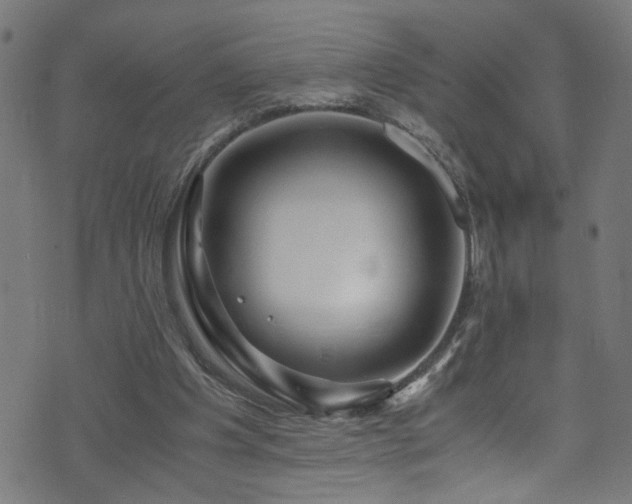 X0000071790201200606301253