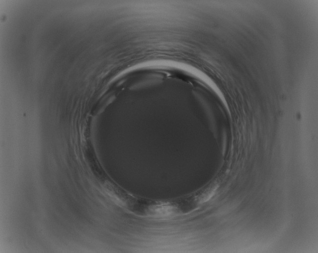 X0000071790219200606301253