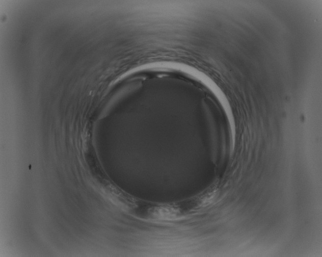 X0000071790223200606301253