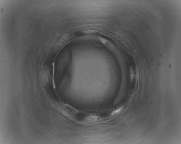 X0000071790227200606301253