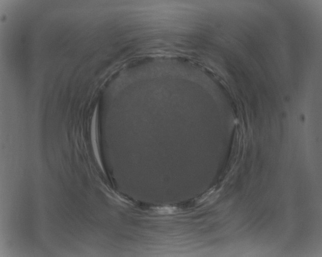 X0000071790233200606301253