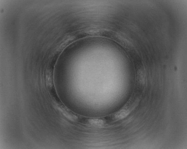 X0000071790234200606301253